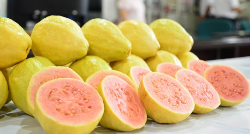 紅心芭樂籽營養 紅心芭樂籽營養