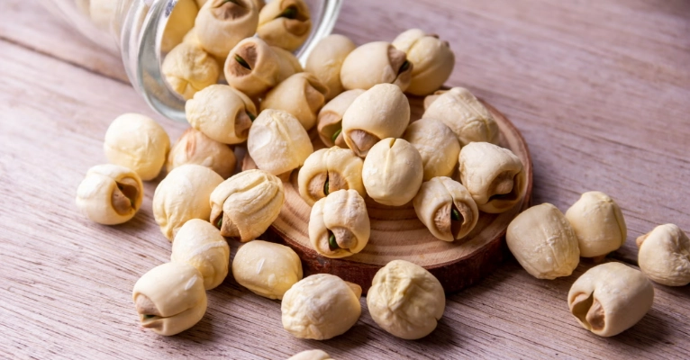 蓮子殼中醫 蓮子殼中醫