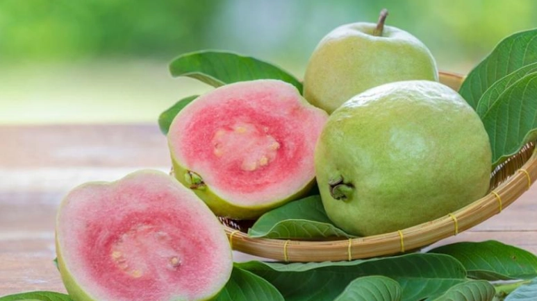 紅心芭樂籽食用方法 紅心芭樂籽食用方法