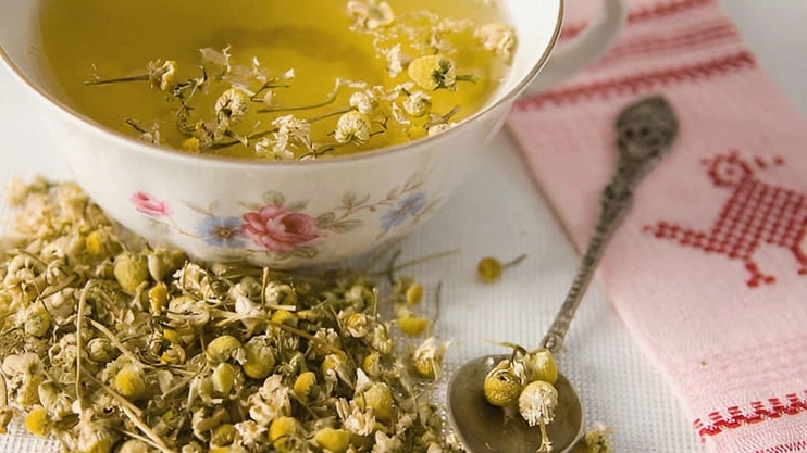 菊花茶功效