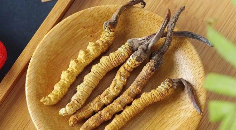 蟲草食用方法 蟲草食用方法