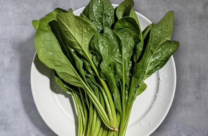 菠菜營養