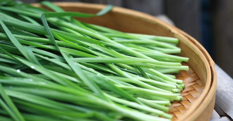 韭菜吃多副作用 韭菜吃多副作用