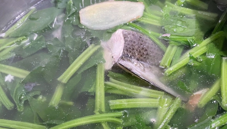 菠菜魚類同食