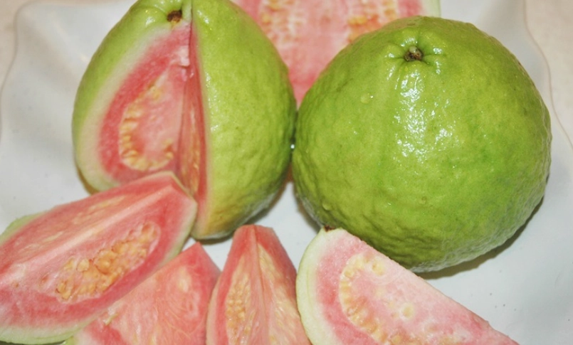 紅心芭樂籽食用方法 紅心芭樂籽食用方法