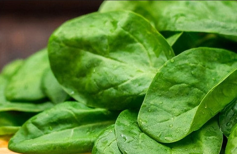 菠菜副作用