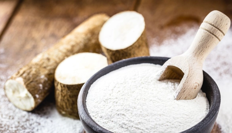 木薯粉血糖影響