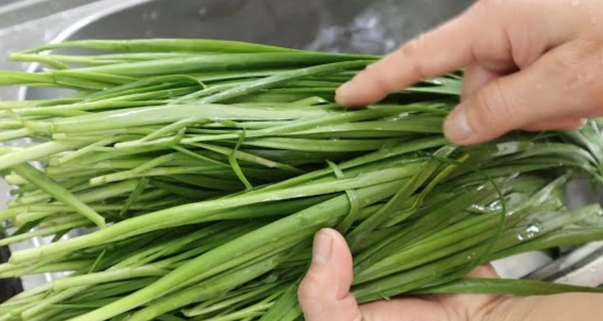 韭菜健康飲食 韭菜健康飲食