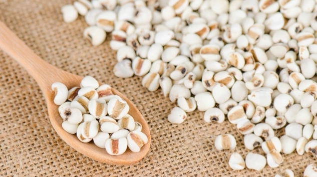 薏米蓮子百合好處 薏米蓮子百合好處