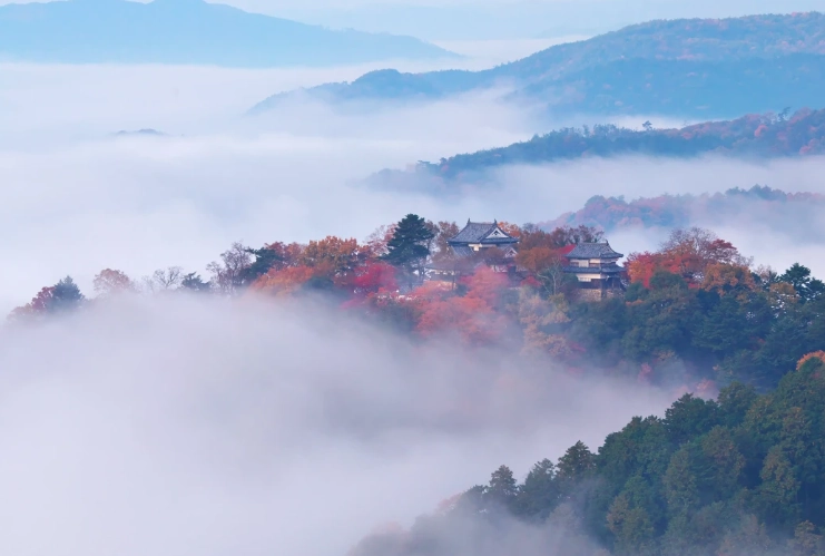 備中松山城旅遊