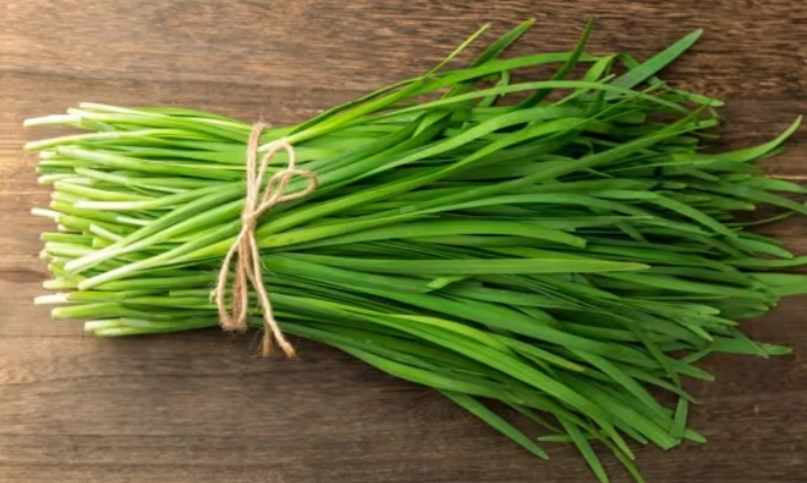 韭菜吃多副作用 韭菜吃多副作用