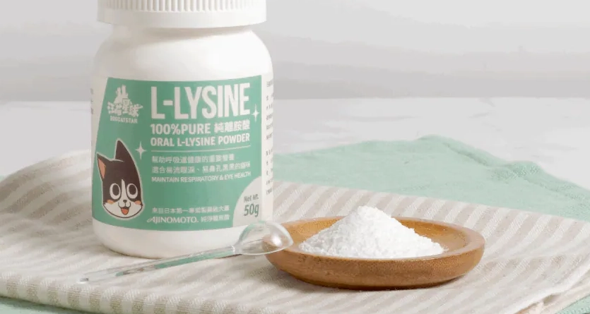 貓狗離胺酸補充 貓狗離胺酸補充