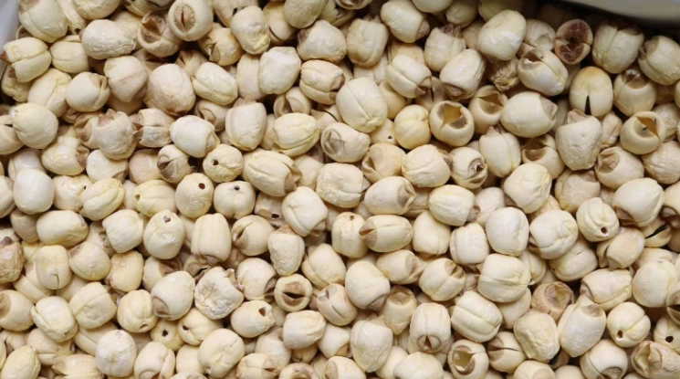 白蓮子食用注意