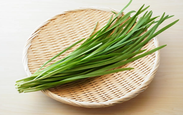 韭菜營養吸收 韭菜營養吸收