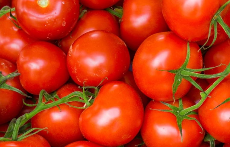 番茄中醫食療