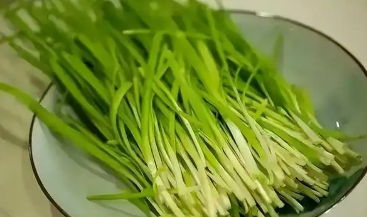 韭菜營養價值 韭菜營養價值