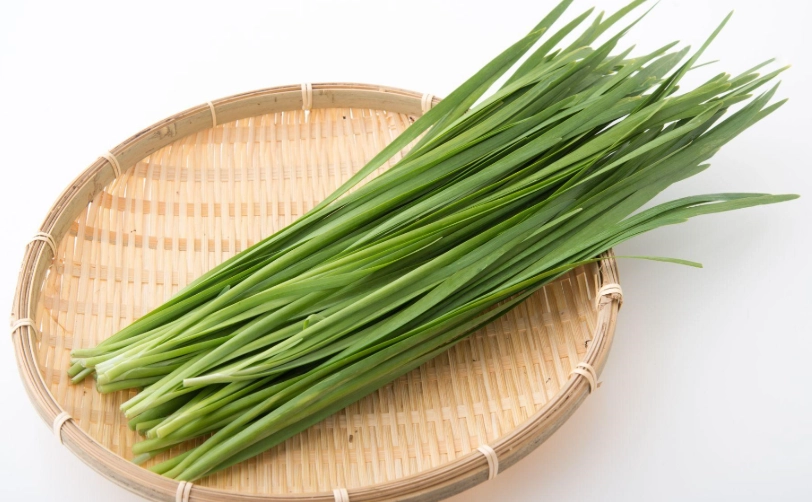 韭菜營養吸收 韭菜營養吸收
