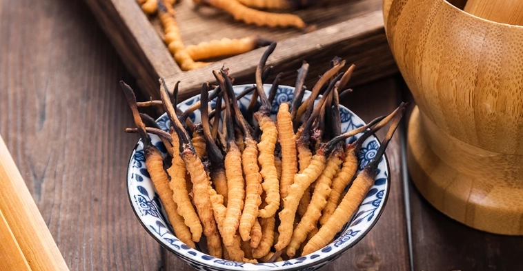 蟲草最佳服用時間 蟲草最佳服用時間