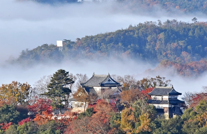 松山城雲海觀賞