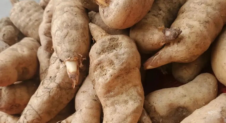 天麻泡水喝禁忌 天麻泡水喝禁忌