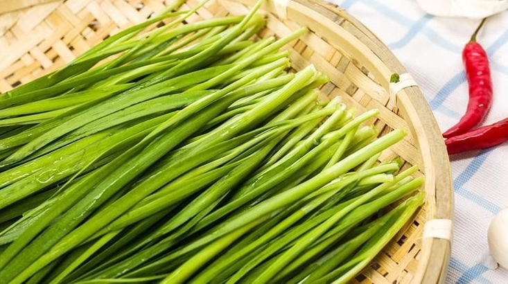 韭菜禁忌人群 韭菜禁忌人群