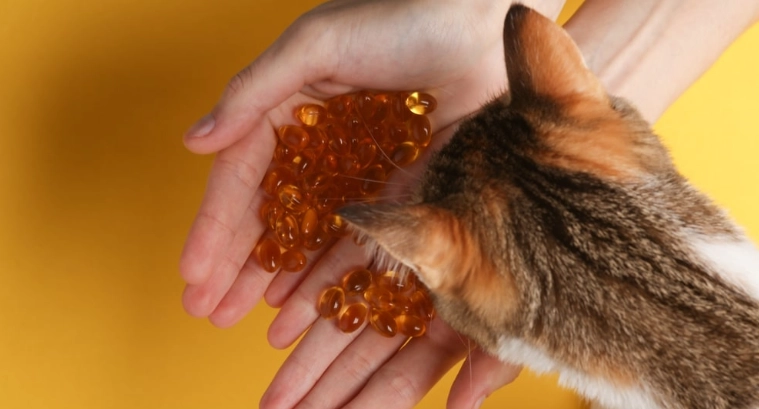 魚油幫助貓便秘