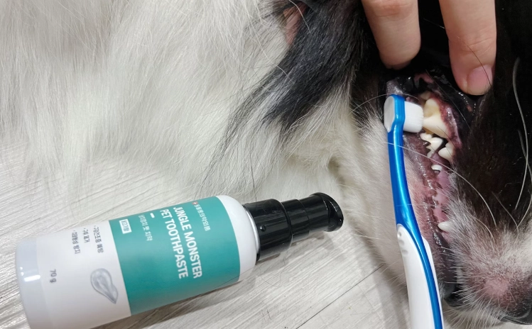 狗狗口腔保健產品