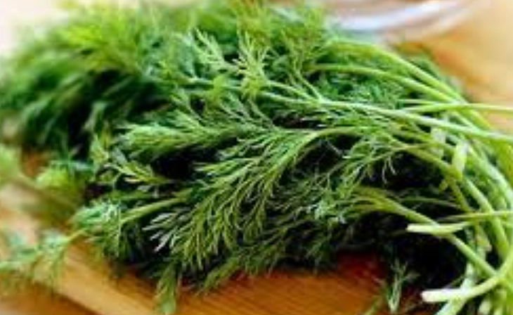 茴香不能和什麼一起吃