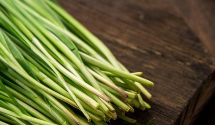 韭菜不能吃的人 韭菜不能吃的人