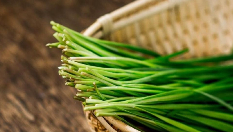 韭菜禁忌人群 韭菜禁忌人群