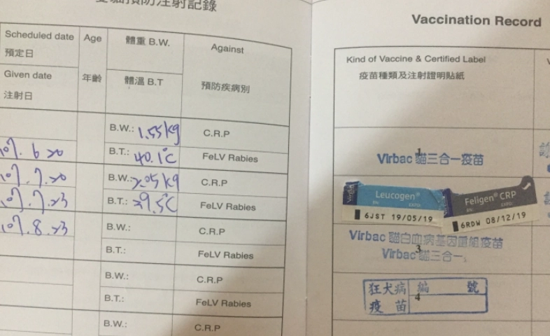 貓咪疫苗價格