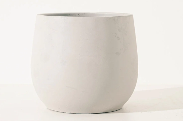 萬壽菊茶沖泡方法