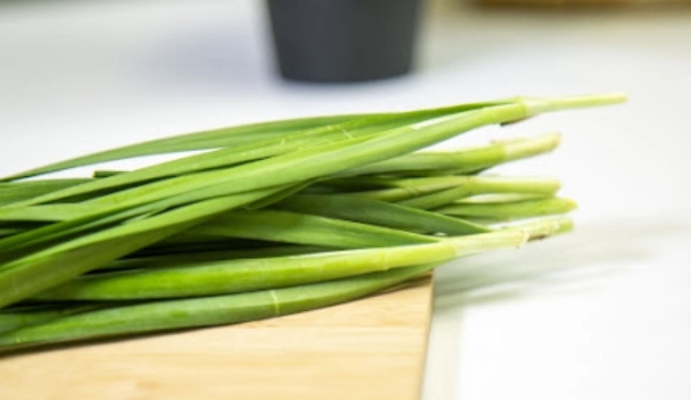 女性吃韭菜食譜