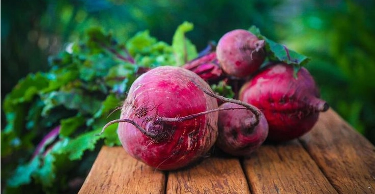 甜菜根減肥