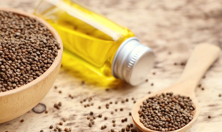 紫蘇油不良反應 紫蘇油不良反應