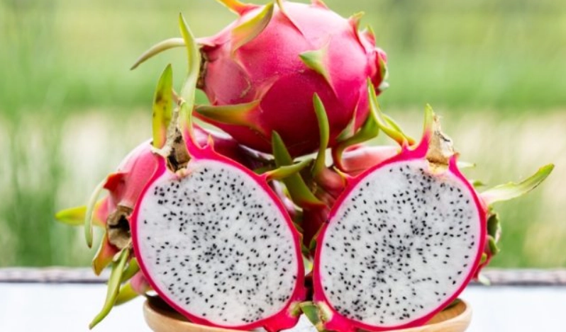 火龍果減肥 火龍果減肥