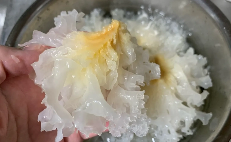 白木耳湯做法 白木耳湯做法