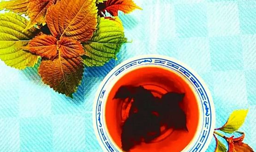 紫蘇葉功效