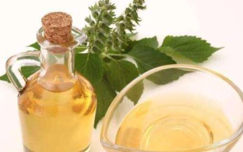 紫蘇油飲用時間 紫蘇油飲用時間