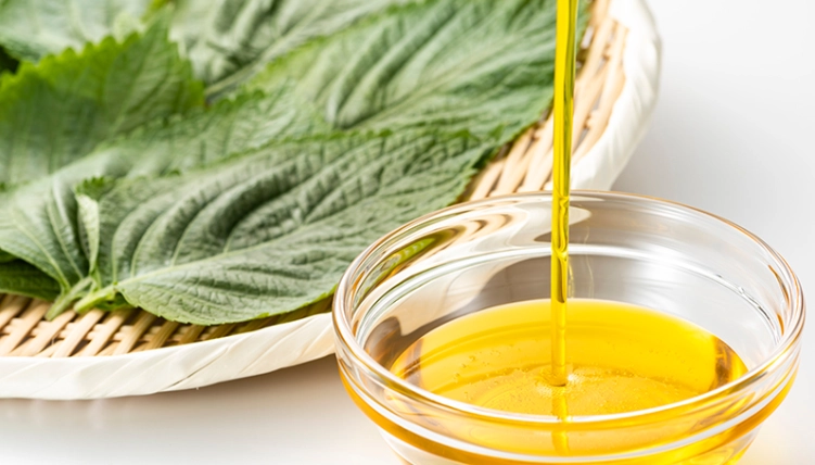 紫蘇油安全使用 紫蘇油安全使用