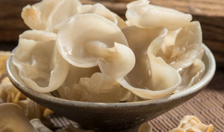 植物性蛋白質來源