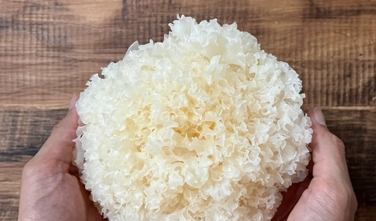 白木耳功效 白木耳功效