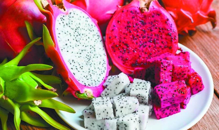 火龍果過量影響 火龍果過量影響
