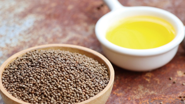 紫蘇油不良反應 紫蘇油不良反應