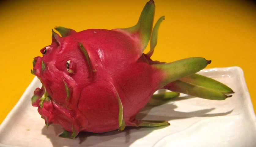 火龍果一顆多重 火龍果一顆多重