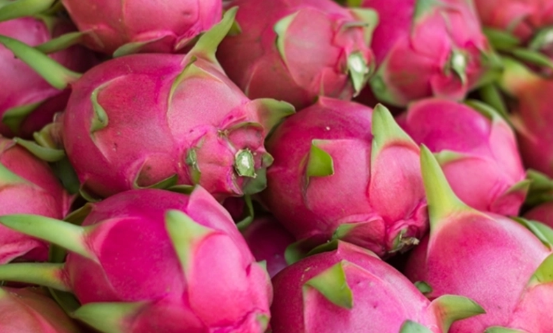 火龍果每日攝取量 火龍果每日攝取量