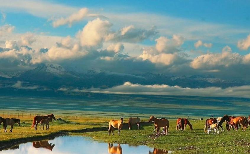 內蒙古草原旅遊 內蒙古草原旅遊