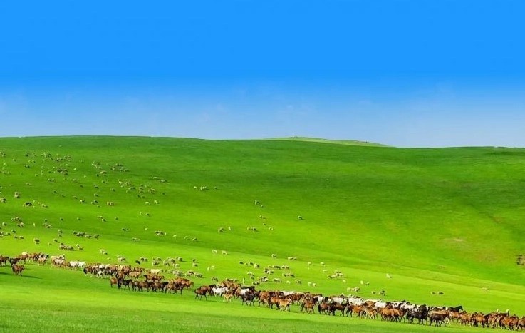 內蒙古春季旅遊