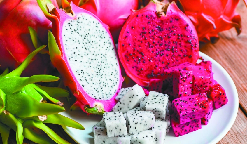 火龍果食用時間 火龍果食用時間