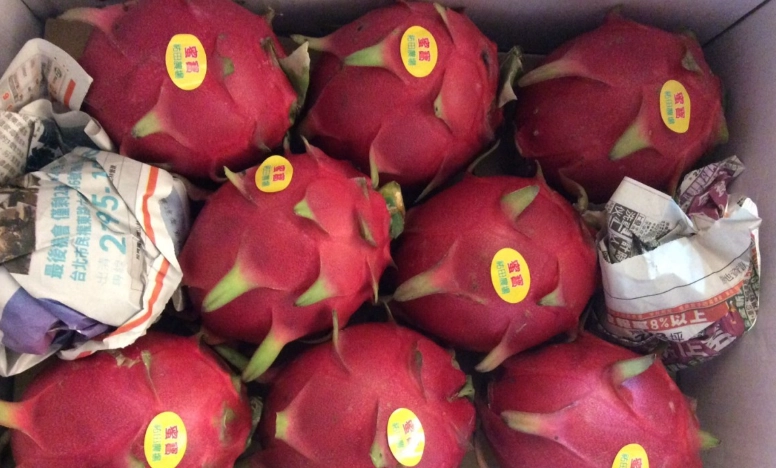 火龍果重量 火龍果重量